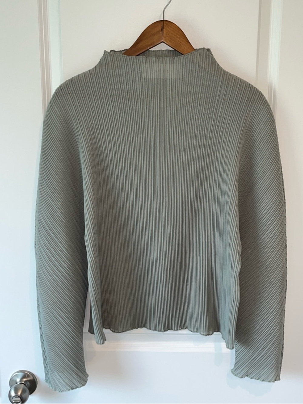 Quiet Luxury Rohe Pleated Megan Plisse textured boxy Semi sheer blous Sz 6